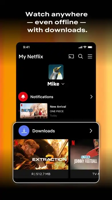 Netflix IPA Premium All Unlocked For IOS03
