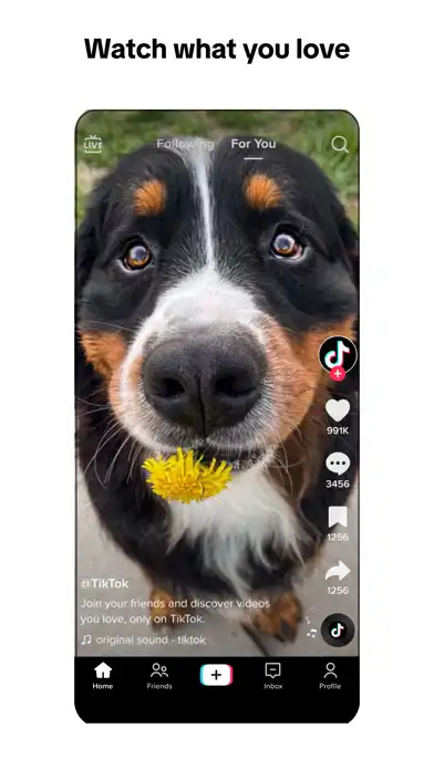 TikTok IPA V45 9 0 No Watermark DL Region Unlocke08