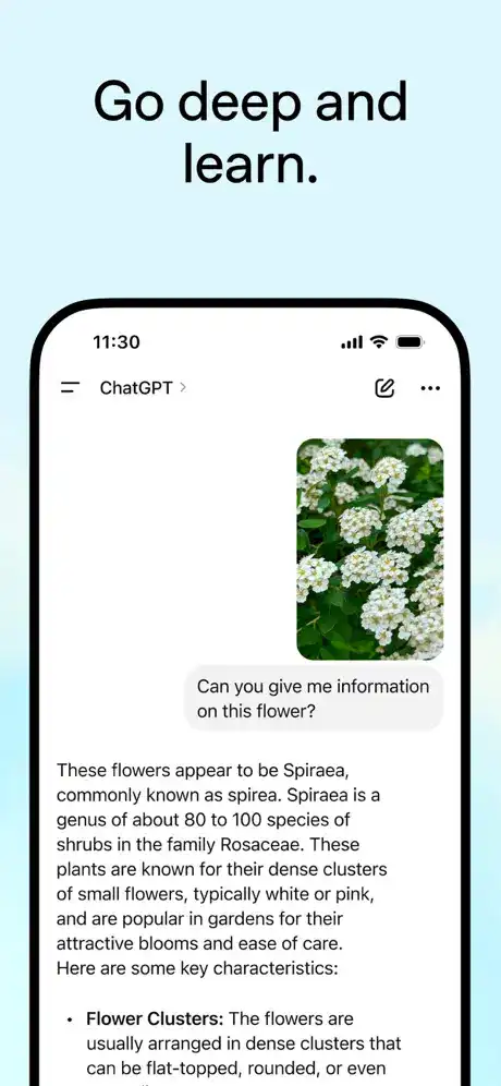 ChatGPT IPA 1.0 Unlocked For IOS5